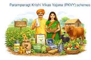 Paramparagat Krishi Vikas Yojana (PKVY) schemes